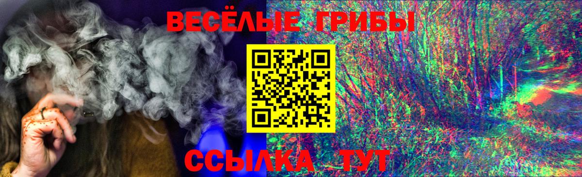 Галлюциногенные грибы Psilocybe Сургут