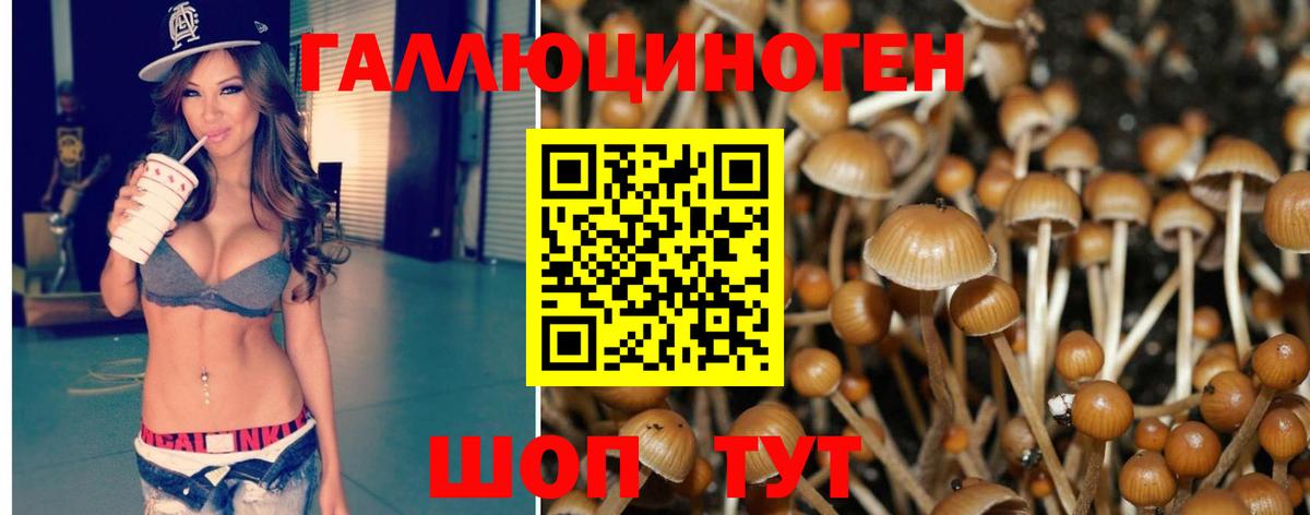 Псилоцибиновые грибы Cubensis  Вход с VPN  Сургут  Псилоцибиновые грибы GOLDEN TEACHER 
